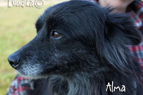 Alma